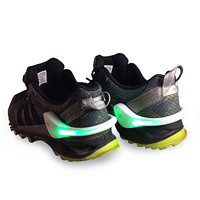 ال ای دی کفش LED Shoe Lights